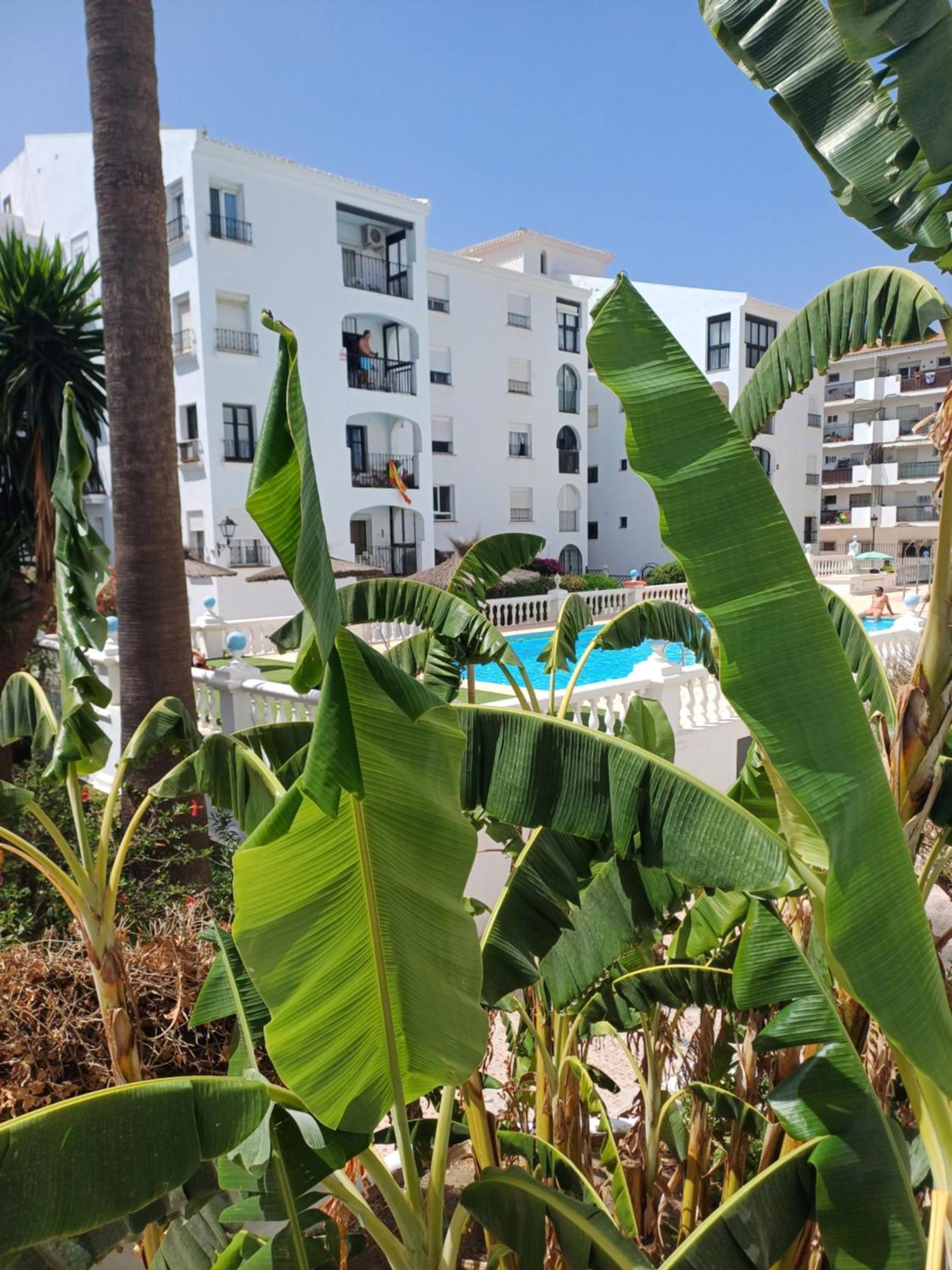 Beautiful Beachfront Newly Renovated 2 Bedroom Apartment With Swimming Pool And Garden San Luis de Sabinillas Exterior photo