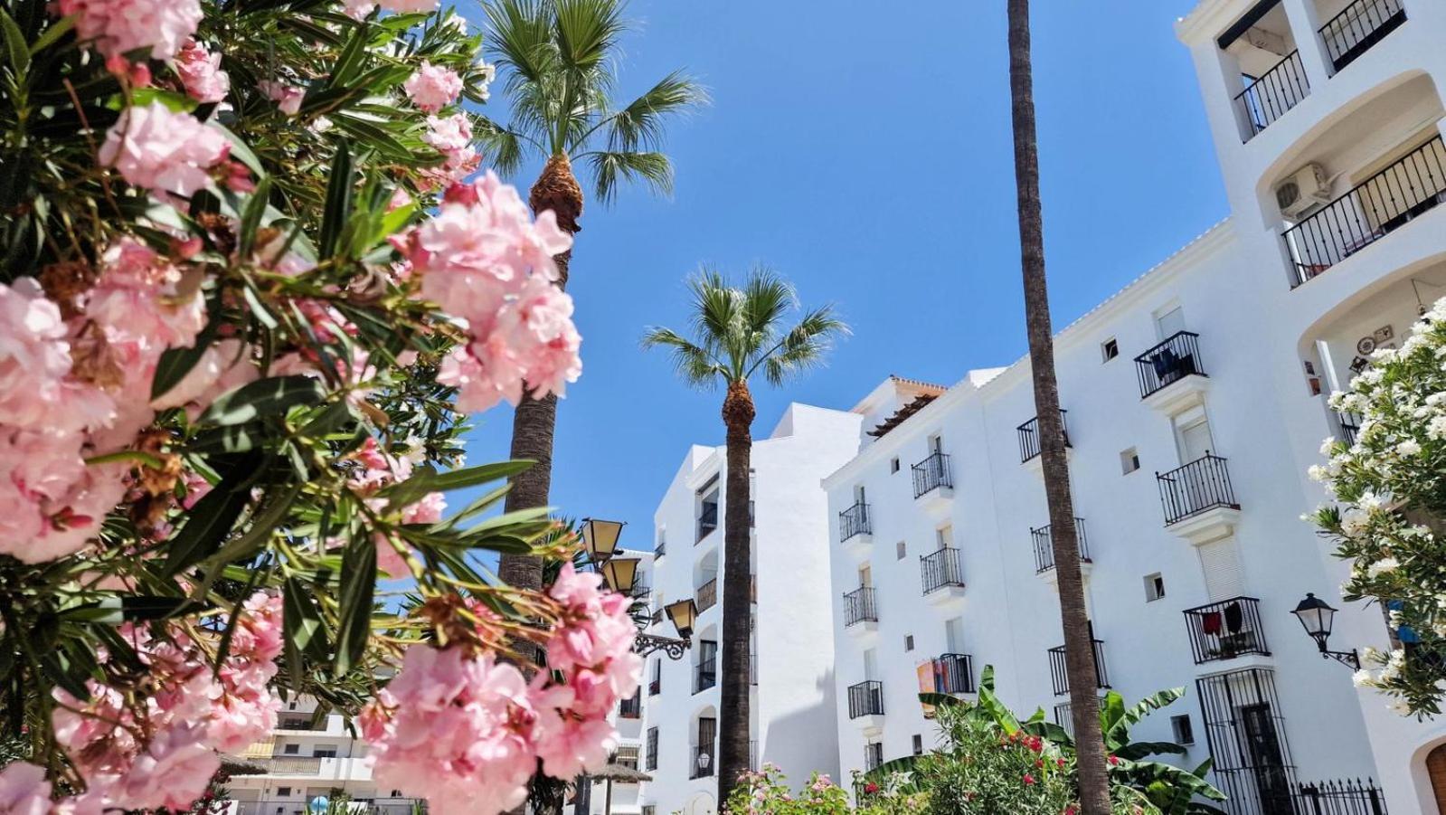 Beautiful Beachfront Newly Renovated 2 Bedroom Apartment With Swimming Pool And Garden San Luis de Sabinillas Exterior photo